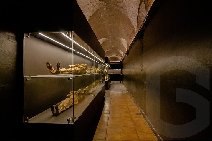 Mummies Mines and Tunnels of Guanajuato Group Tour 1