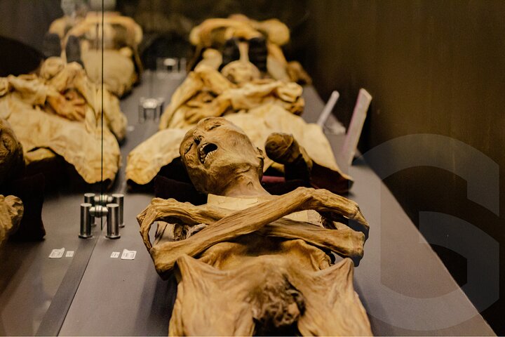 Mummies Mines and Tunnels of Guanajuato Group Tour 1