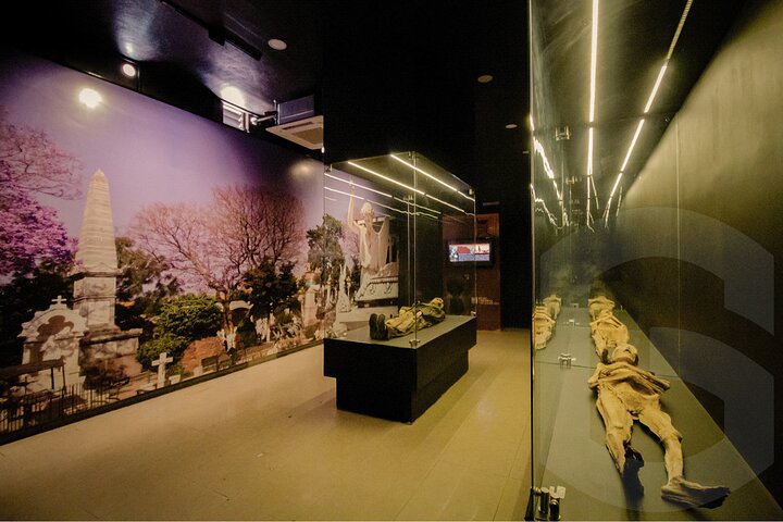 Mummies Mines and Tunnels of Guanajuato Group Tour 1