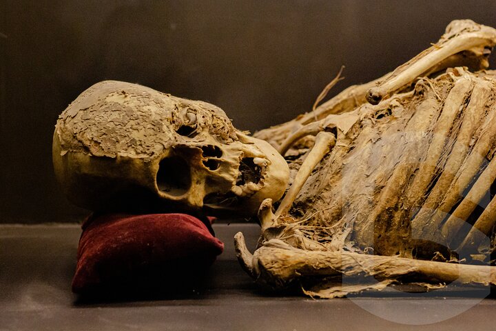 Mummies Mines and Tunnels of Guanajuato Group Tour 1