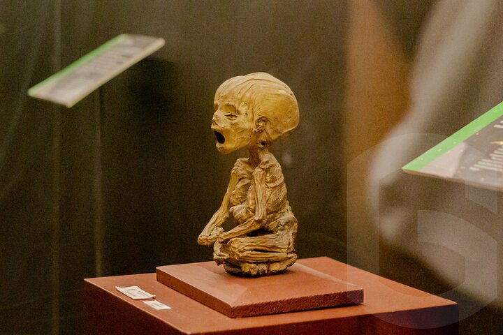 Mummies Mines and Tunnels of Guanajuato Group Tour 1