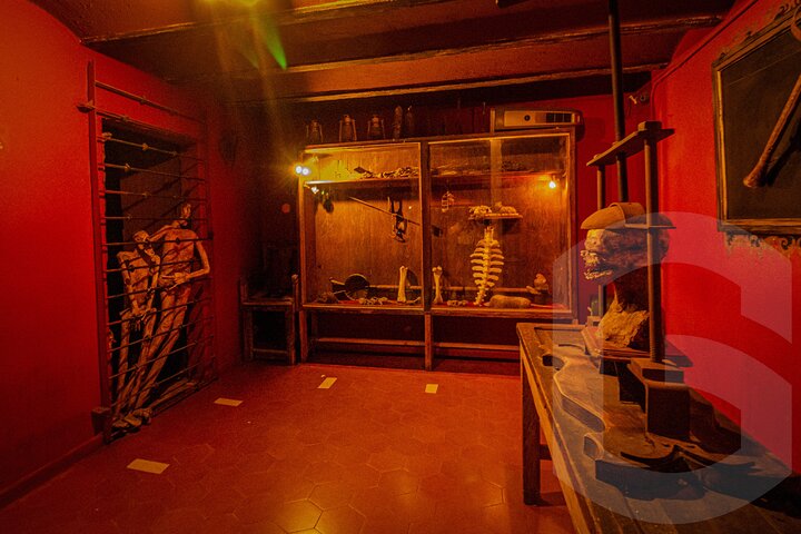 Mummies Mines and Tunnels of Guanajuato Group Tour 1