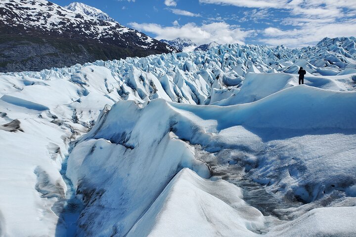 Knik Glacier Helicopter Flight-90 Mins-1 Landing-Anchorage Area