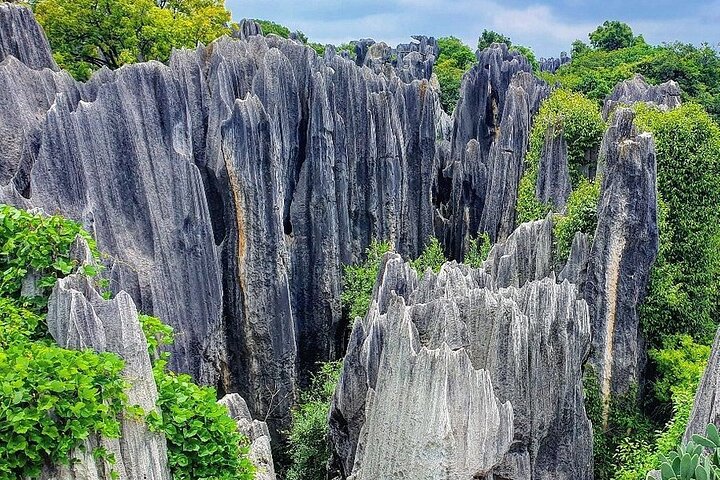 1 Day Stone Forest & Jiuxiang Cave Tour