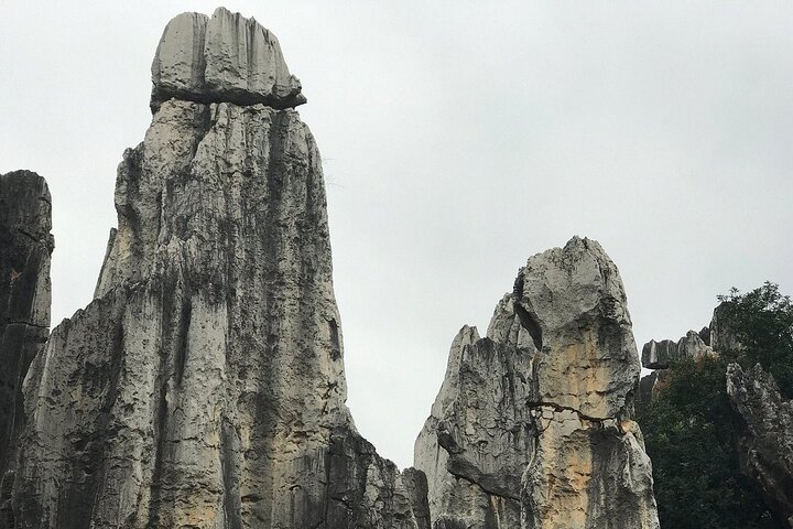 1 Day Stone Forest & Jiuxiang Cave Tour