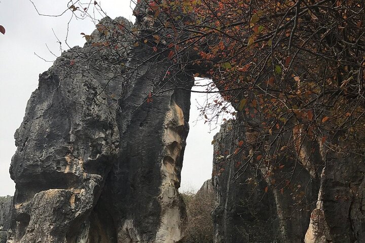 1 Day Stone Forest & Jiuxiang Cave Tour