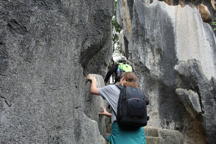 1 Day Stone Forest & Jiuxiang Cave Tour