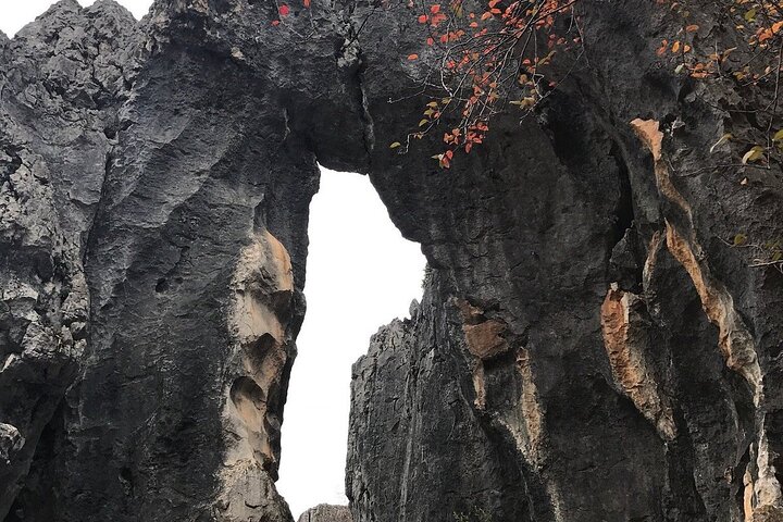 1 Day Stone Forest & Jiuxiang Cave Tour