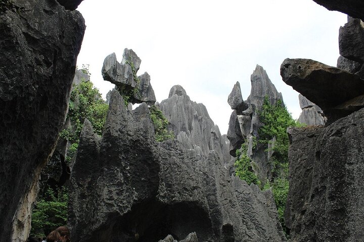 1 Day Stone Forest & Jiuxiang Cave Tour