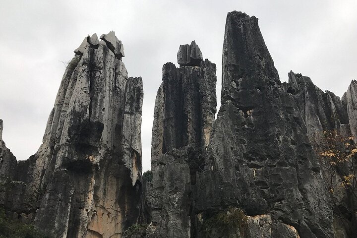 1 Day Stone Forest & Jiuxiang Cave Tour
