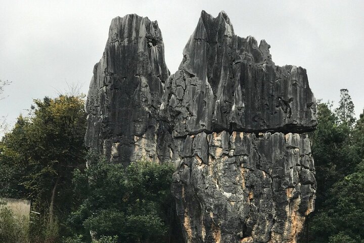 1 Day Stone Forest & Jiuxiang Cave Tour