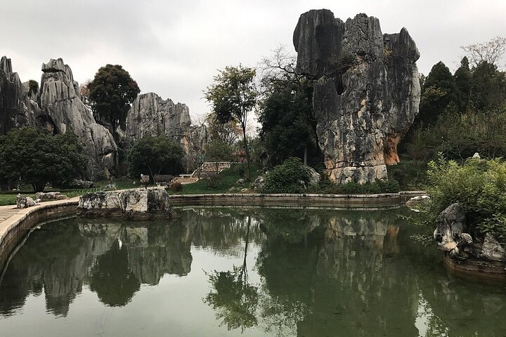 1 Day Stone Forest & Jiuxiang Cave Tour