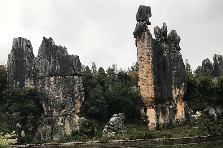 1 Day Stone Forest & Jiuxiang Cave Tour