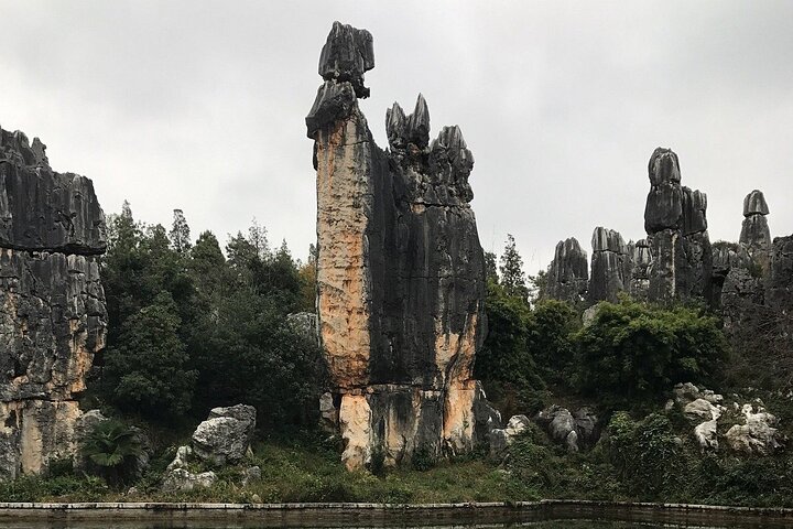 1 Day Stone Forest & Jiuxiang Cave Tour