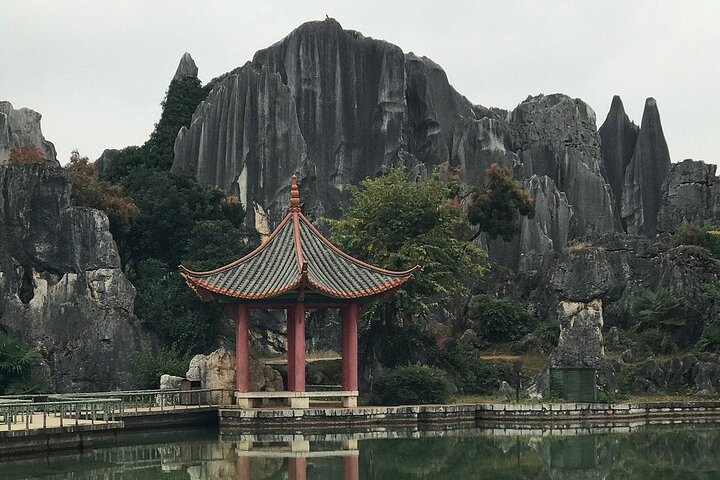 1 Day Stone Forest & Jiuxiang Cave Tour