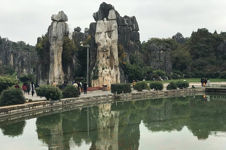 1 Day Stone Forest & Jiuxiang Cave Tour