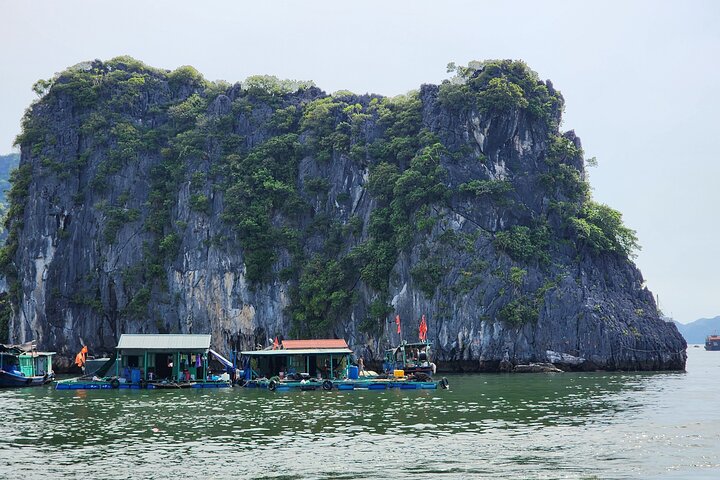 Ha Long Bay Day Cruise Kayaking, Cave, Island, Swimming, Lunch