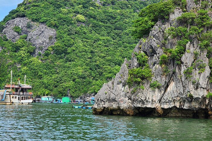 Ha Long Bay Day Cruise Kayaking, Cave, Island, Swimming, Lunch
