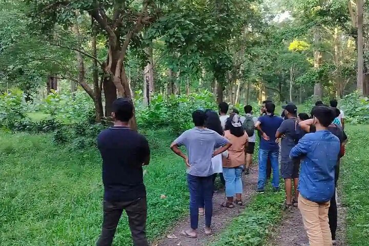 Coimbatore to Parambikulam Jungle Safari & Trekking Tour