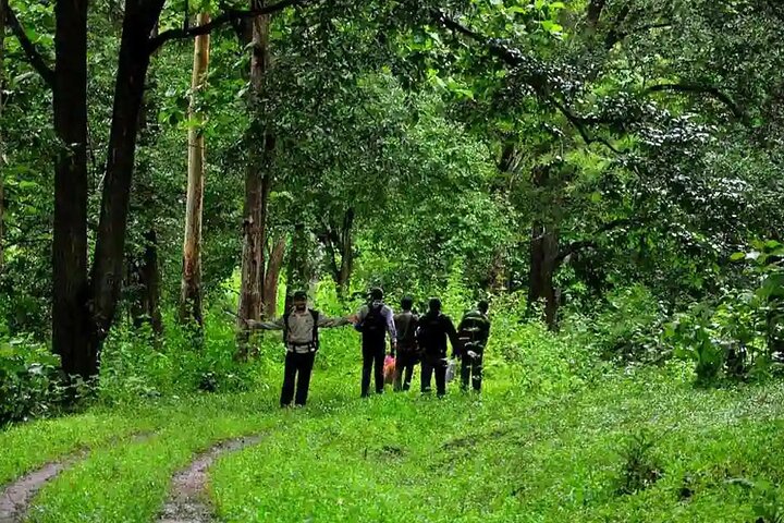 Coimbatore to Parambikulam Jungle Safari & Trekking Tour
