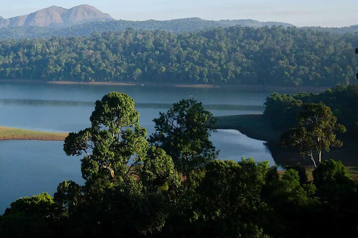 Coimbatore to Parambikulam Jungle Safari & Trekking Tour