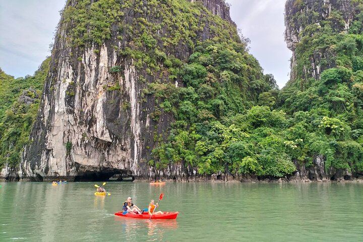 Ha Long Bay Day Cruise Kayaking, Cave, Island, Swimming, Lunch