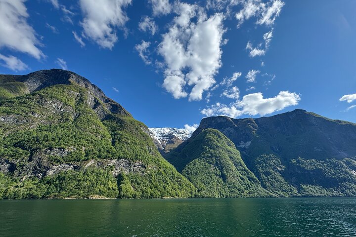 Private yacht Cruise in Flåm and Gudvangen, Nærøyfjord