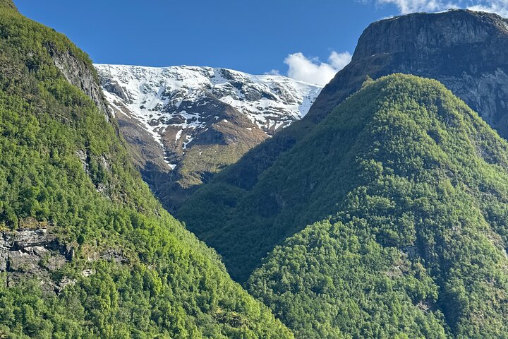 Private yacht Cruise in Flåm and Gudvangen, Nærøyfjord