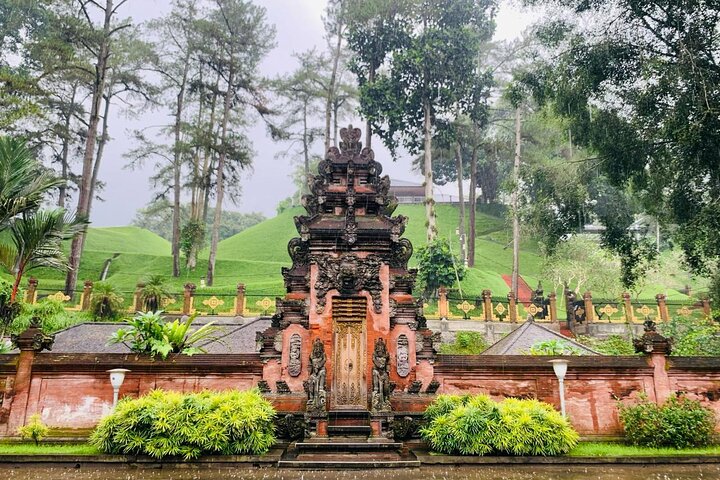 Ubud Private Tour: Waterfalls, Temple and Rice Terraces Swing