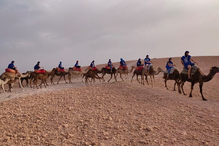 Camel ride Marrakech