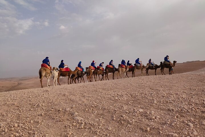Camel ride Marrakech