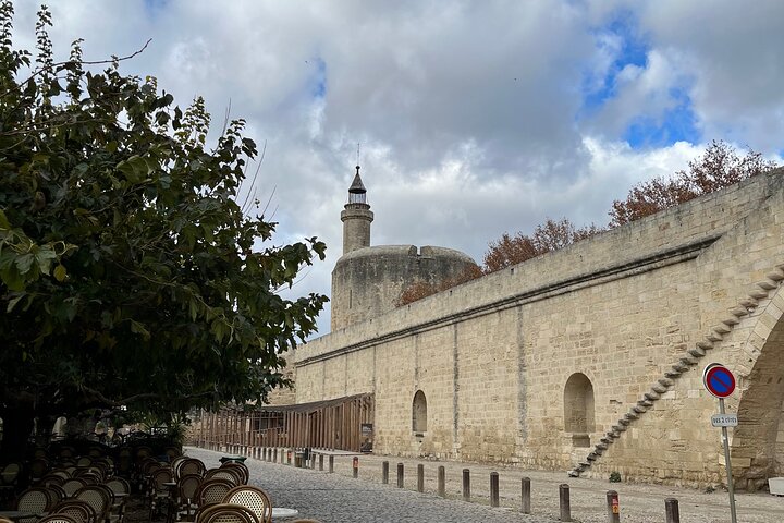Small group half day Camargue and Aigues Mortes tour