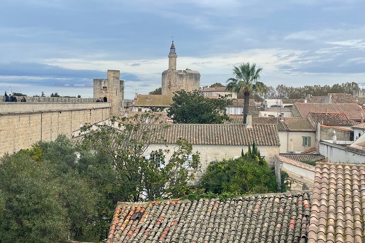 Small group half day Camargue and Aigues Mortes tour