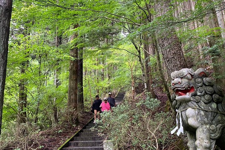 Private Hiking Tour to View Mt. Fuji