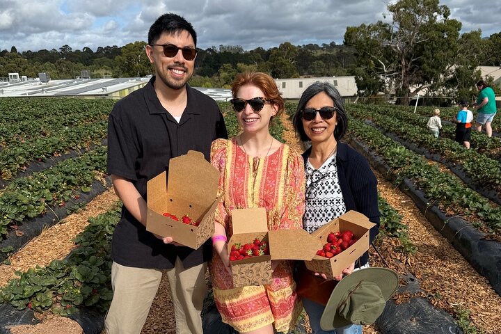 Experience Hahndorf & Barossa: Gourmet lunch, Wine, Beer & Treats