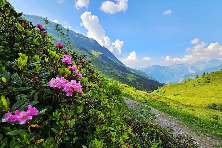 Hike Lauterbrunnen-Murren including Trummelbach Waterfalls Visit