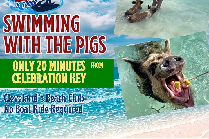 Swim with the Pigs Freeport @Creative Eco Adventures