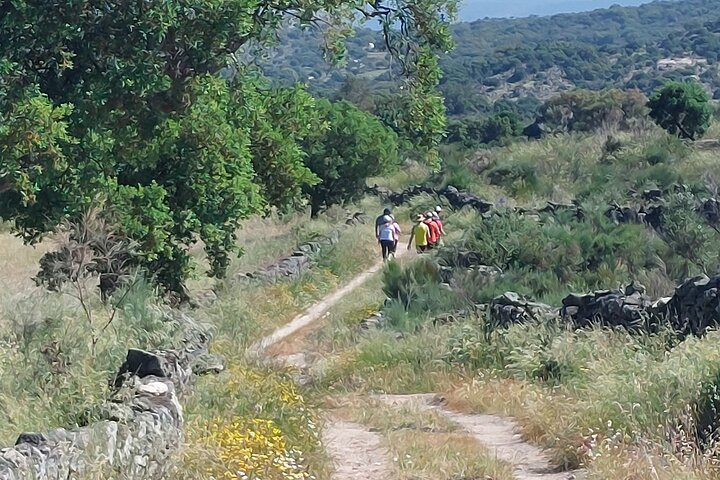 Marvão Megalithic Private Tour
