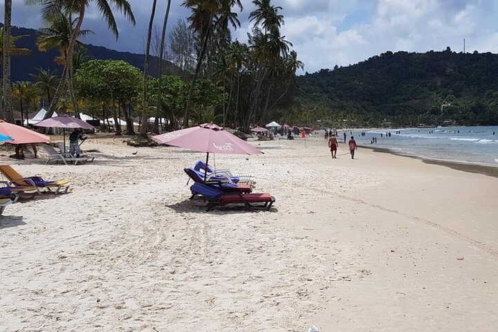 Maracas Beach Layover Trip with Pickup
