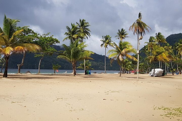 Maracas Beach Layover Trip with Pickup