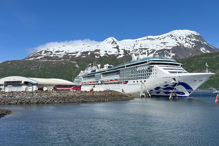Whittier to Anchorage Private Cruise Transport, Up to 10 Person