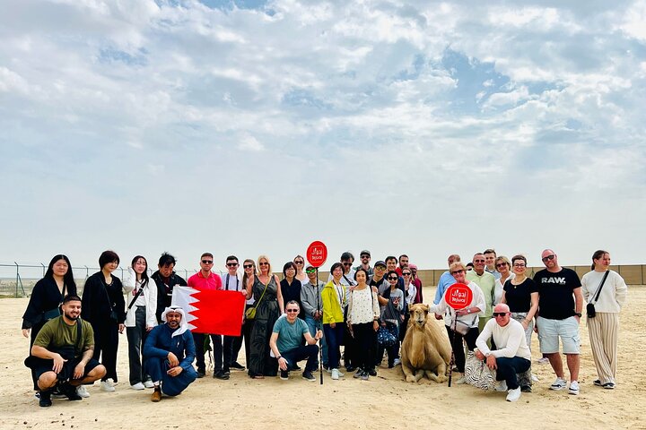MSC Euribia Bahrain Shore Excursion 2026