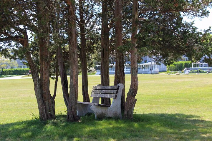 Discovering Oak Bluffs: A Self-Guided Audio Tour