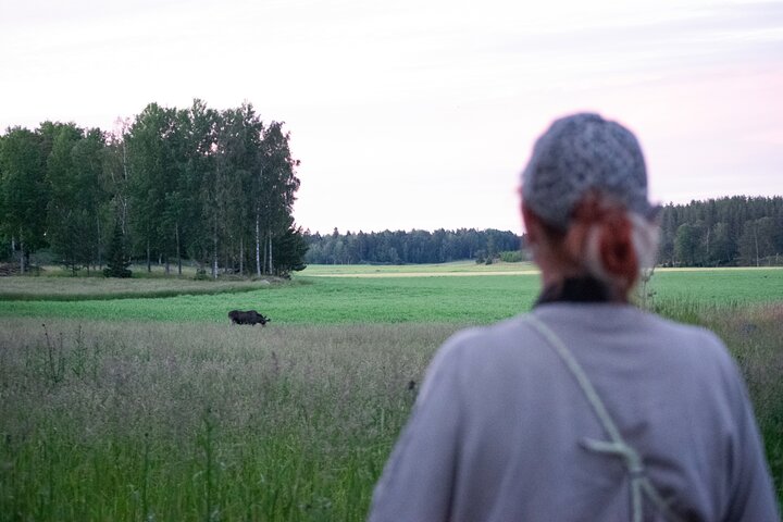 From Helsinki: Moose & Wildlife Safari with Campfire Dinner