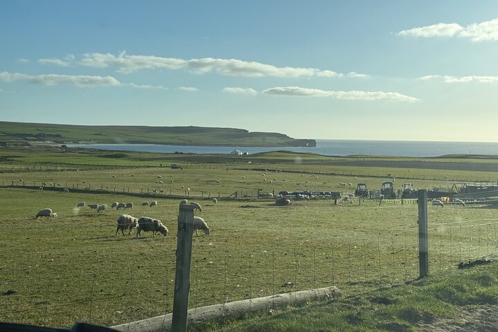 Orkney Island Tour with Expert Guide