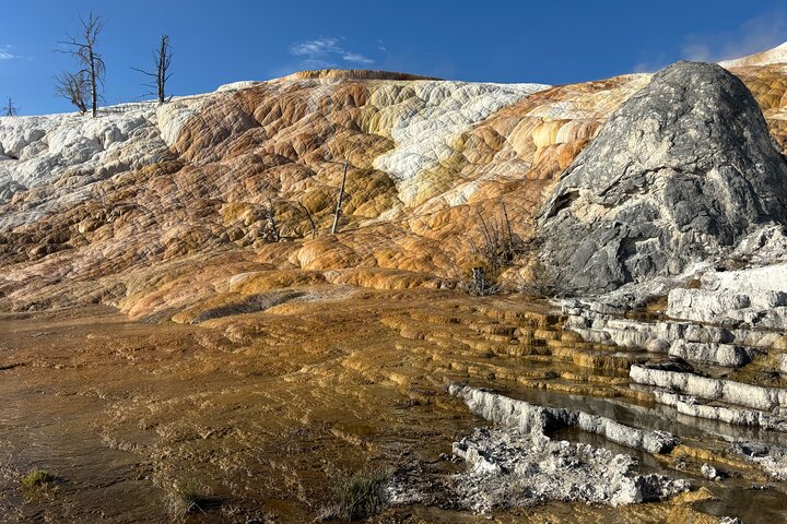 Yellowstone Park Private Day Trip from Big Sky