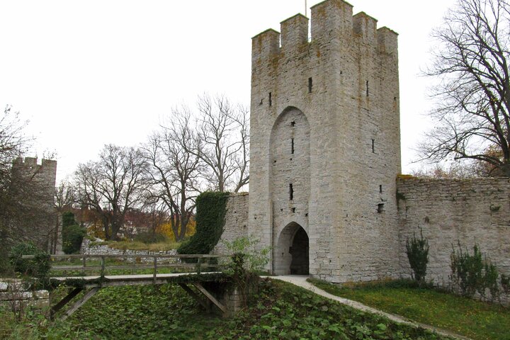 Visby Private Half Day Tour from Visby Cruise Port