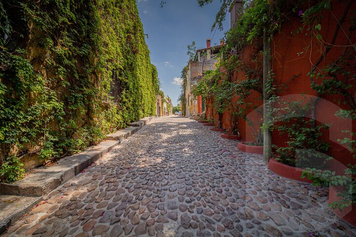 Private Day Tour to San Miguel from Guanajuato