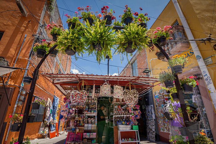 Private Day Tour to San Miguel from Guanajuato