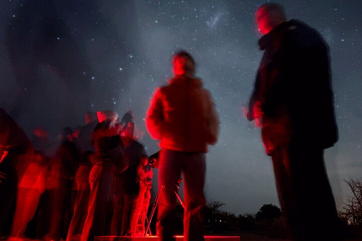 Astronomical Tour "Under the Night Sky"